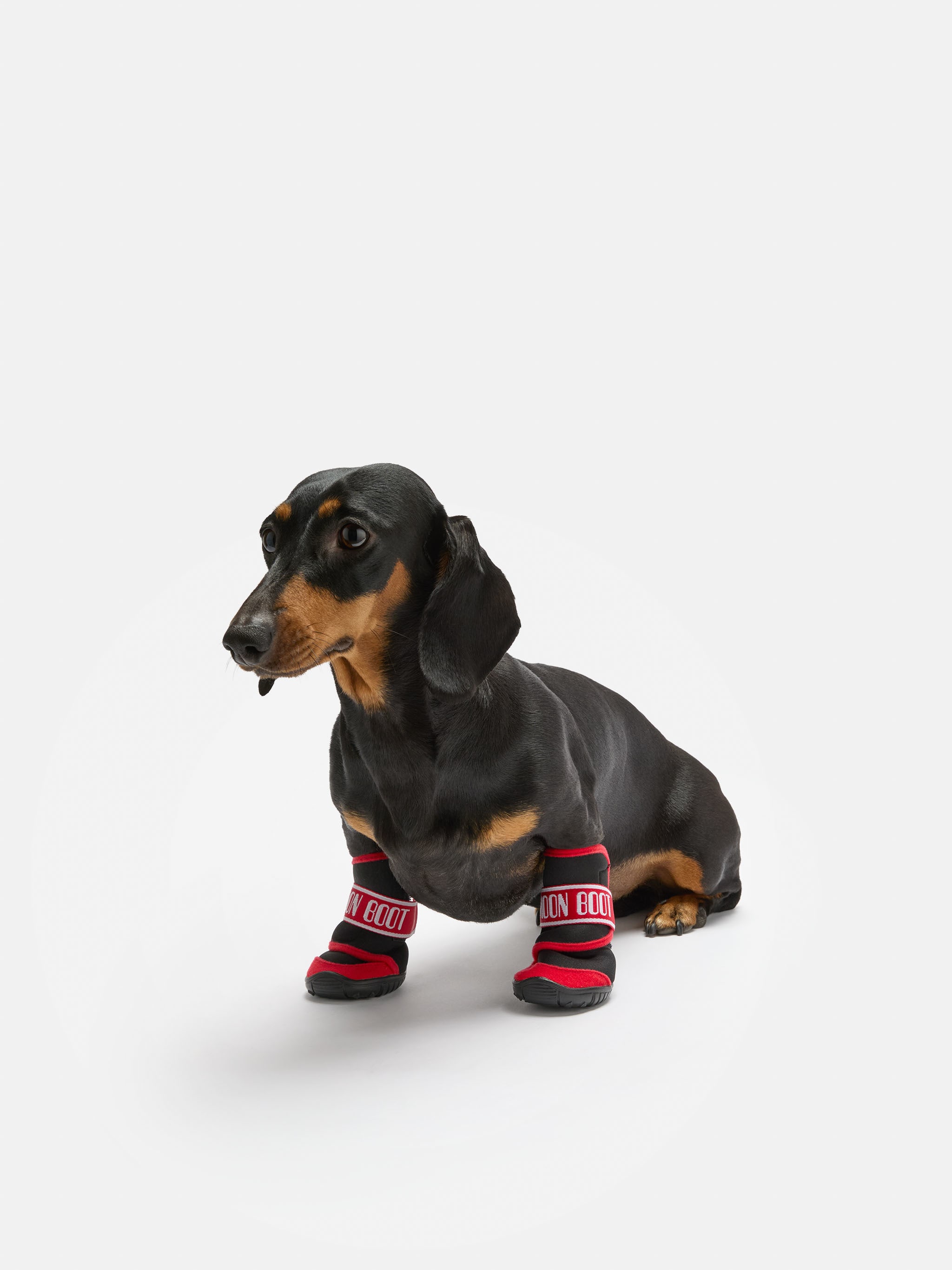 ZAPATILLAS PARA PERRO MOON BOOT X POLDO DOG COUTURE ROJO