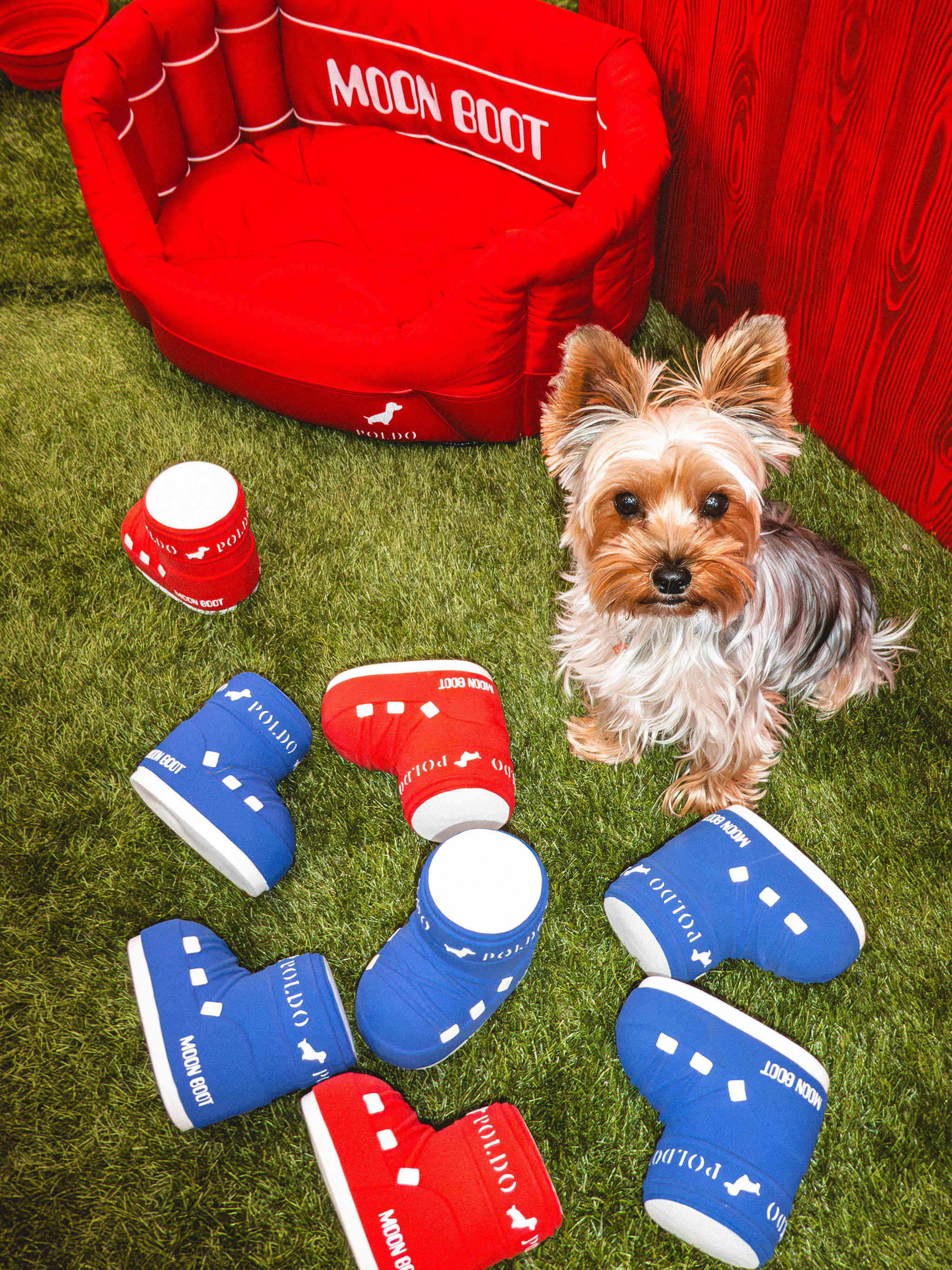 CAMA PARA PERRO MOON BOOT X POLDO DOG COUTURE ROJA CON FORRO